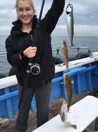 1 lb 8 oz Mackerel by jess nets 4 at a time 3 codling  1 mackerel