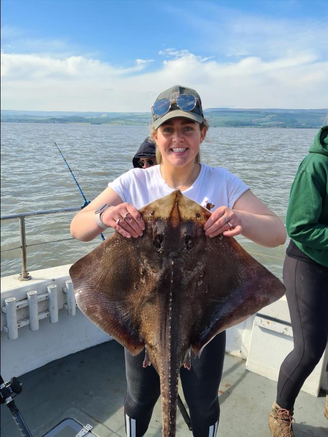 11 lb 9 oz Thornback Ray by Unknown