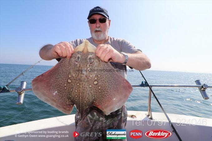 10 lb Thornback Ray by Stephen