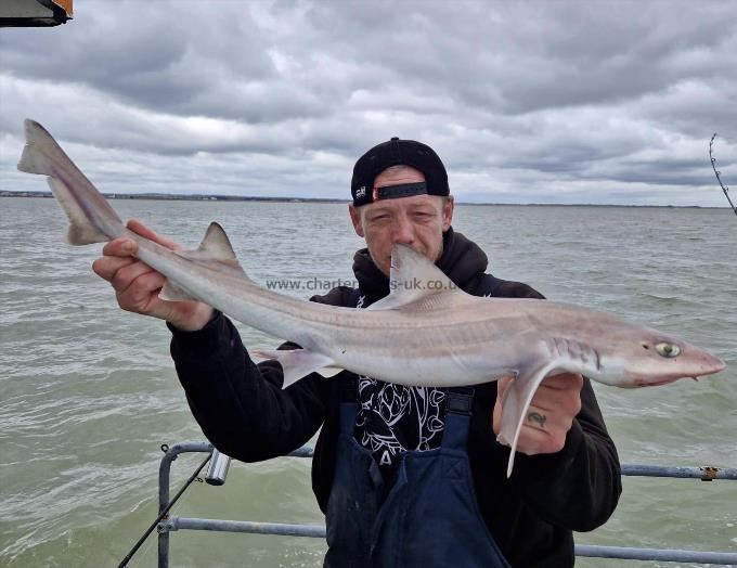 6 lb Smooth-hound (Common) by Unknown