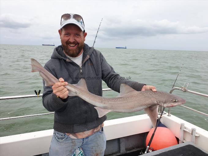 9 lb 8 oz Starry Smooth-hound by Bob Marshall