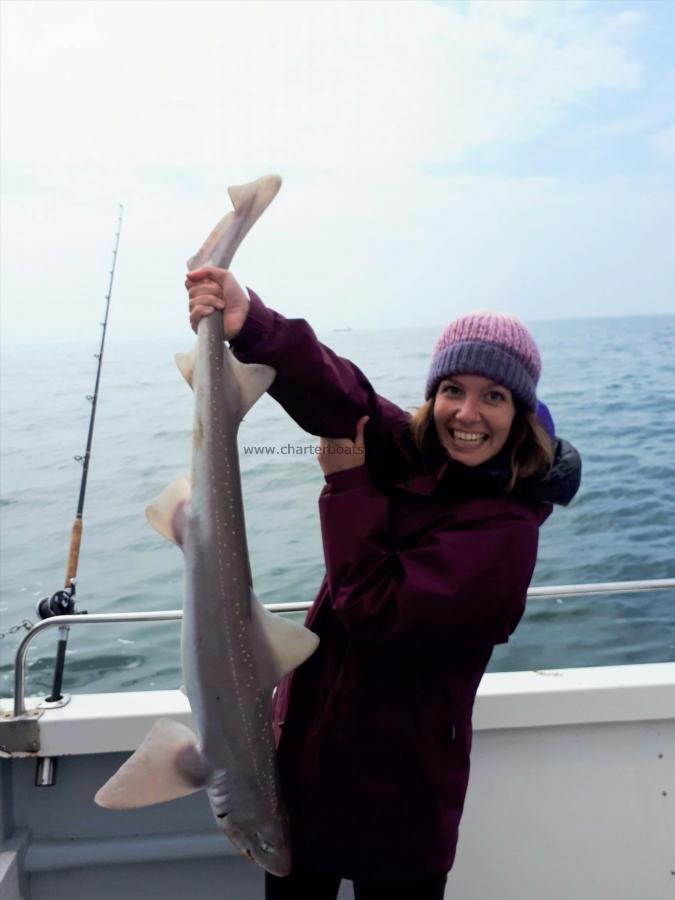 12 lb Smooth-hound by Unknown