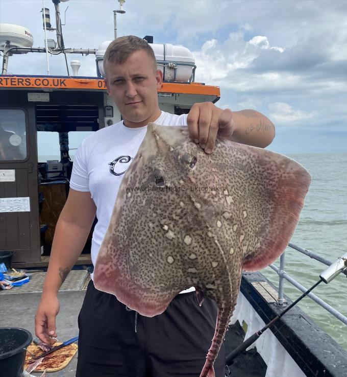 9 lb Thornback Ray by Unknown