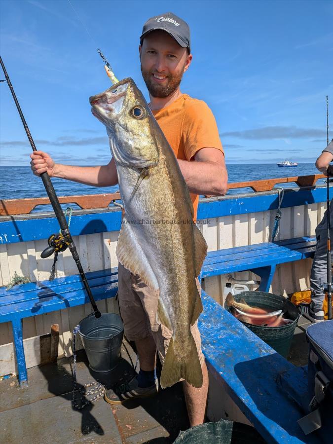 7 lb 12 oz Pollock by Unknown