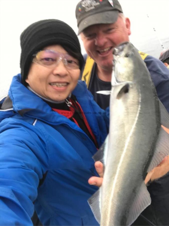 5 lb Coalfish (Coley/Saithe) by Matthew