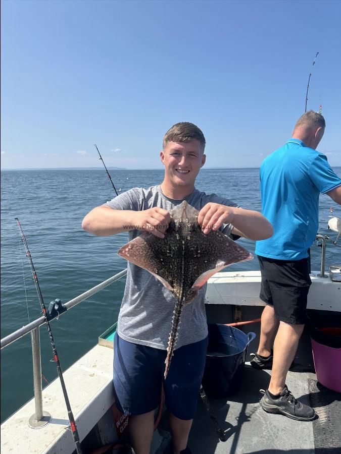 4 lb Thornback Ray by Unknown