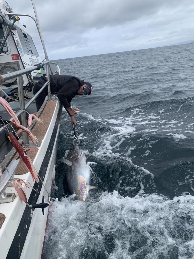 150 lb Bluefin Tuna by gav