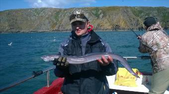 5 lb Conger Eel by kristof