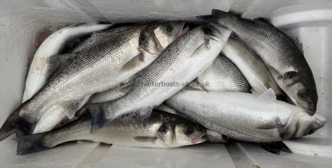 5 lb Bass by Unknown