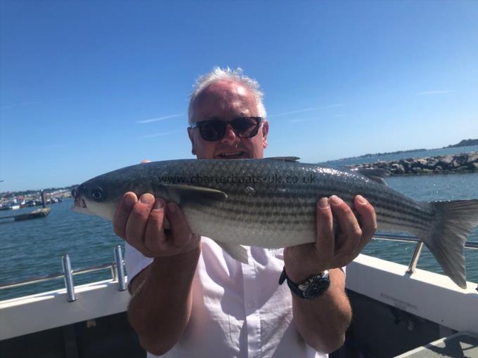 1 lb Thick-Lipped Grey Mullet by Unknown