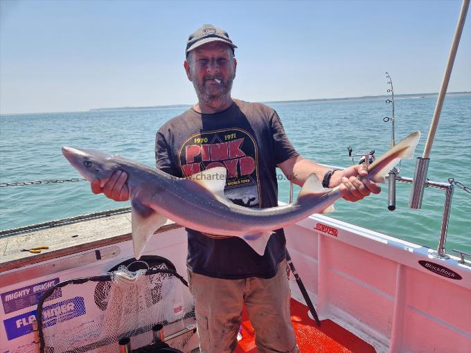 9 lb Smooth-hound by Alan
