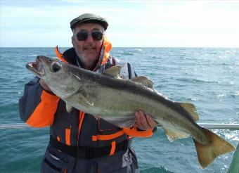 13 lb Pollock by Bernard Singleton