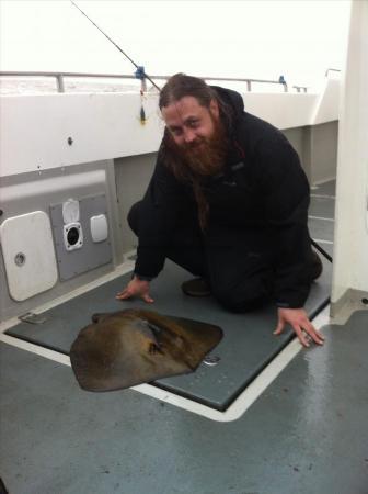 25 lb Stingray (Common) by Unknown