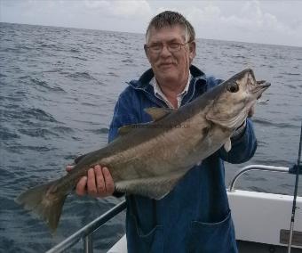 12 lb 8 oz Pollock by Terry