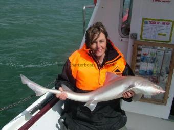 17 lb Starry Smooth-hound by Norma Clark