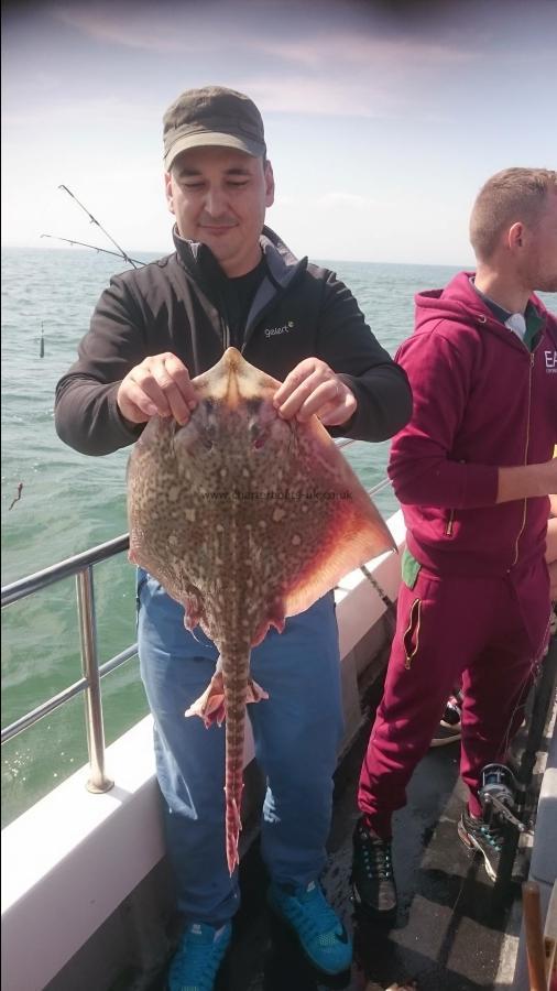 8 lb Thornback Ray by Bob Marshall