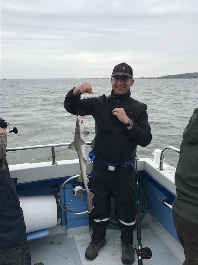 4 lb Smooth-hound by Little Lee