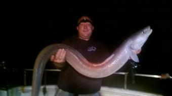 40 lb Conger Eel by Unknown