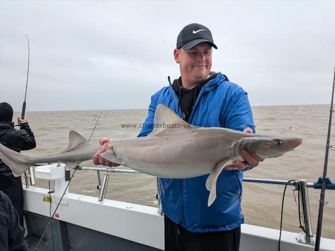 12 lb 8 oz Smooth-hound by Robert