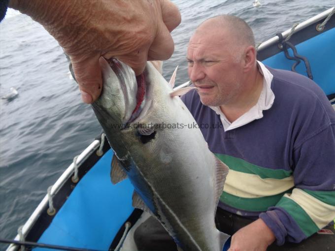 5 lb 8 oz Coalfish (Coley/Saithe) by nice coalfish