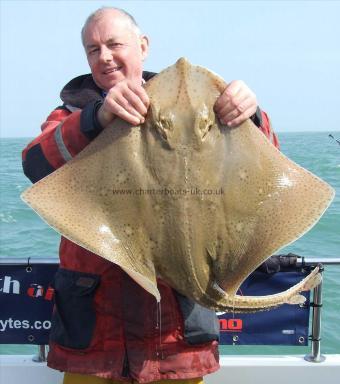 16 lb Blonde Ray by Dave Metcalf