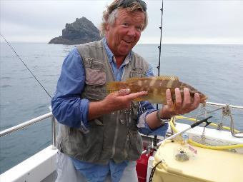 3 lb Ballan Wrasse by Chris