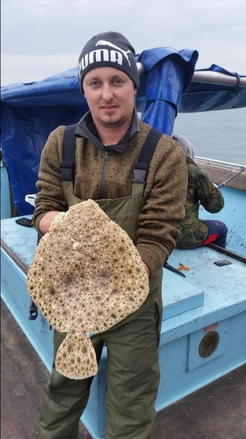 4 lb Turbot by Unknown