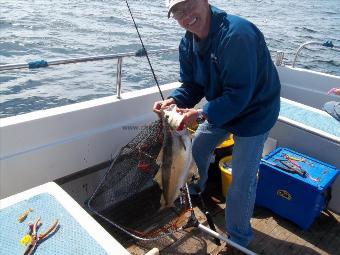 8 lb Pollock by Howard