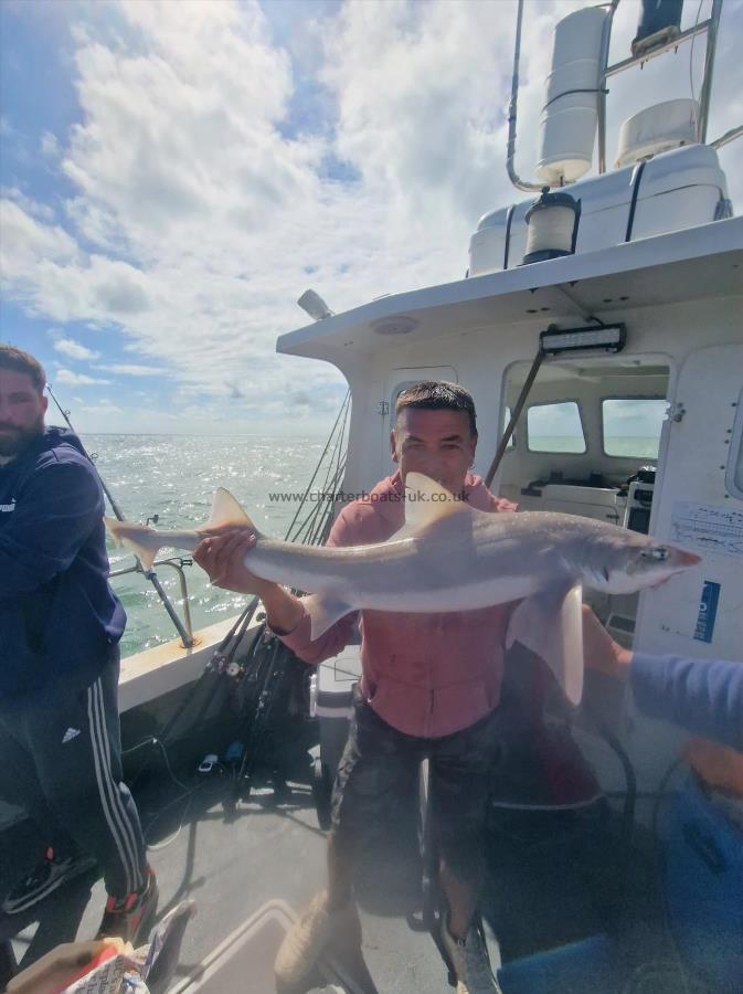 12 lb Smooth-hound by John