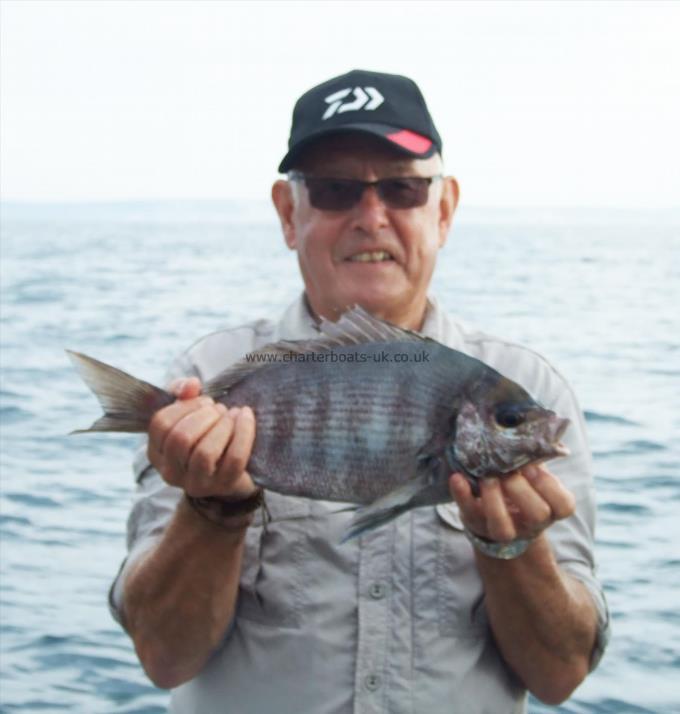 3 lb 9 oz Black Sea Bream by Graham Rosamond