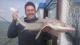 8 lb Starry Smooth-hound by Gary from Southend