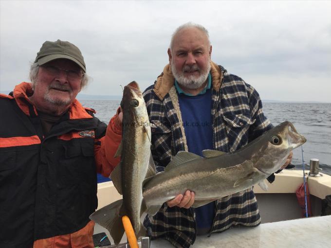 7 lb Pollock by Ray Barker