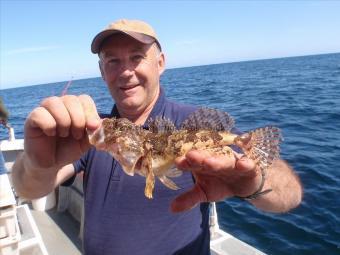 1 lb 3 oz Short-spined Sea Scorpion by Neil from Easingwold.