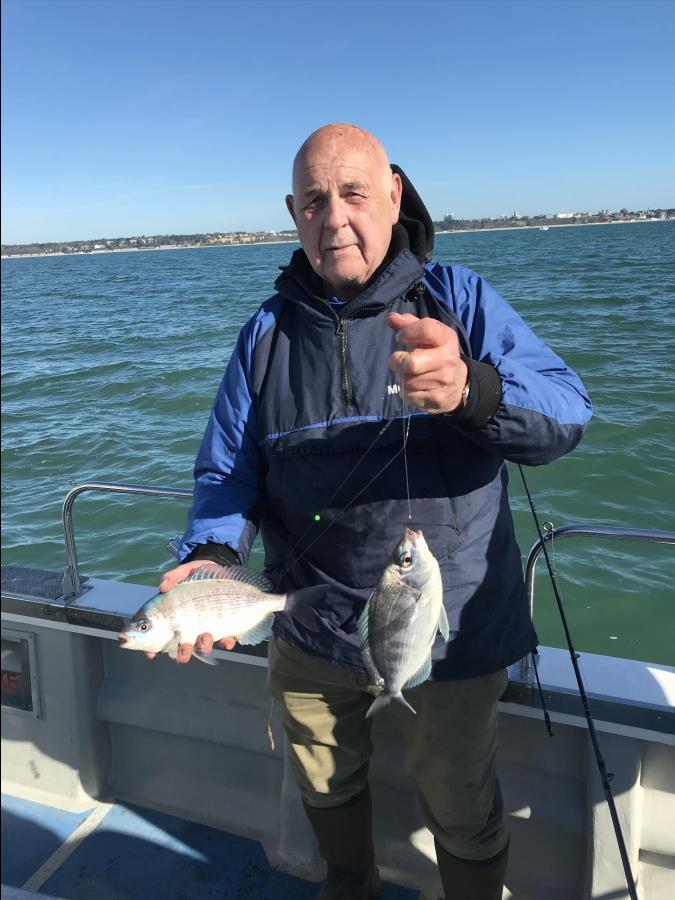 2 lb Black Sea Bream by Clive with another double shot