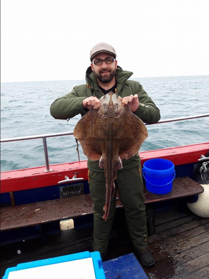 8 lb Undulate Ray by Brian Westwood Group