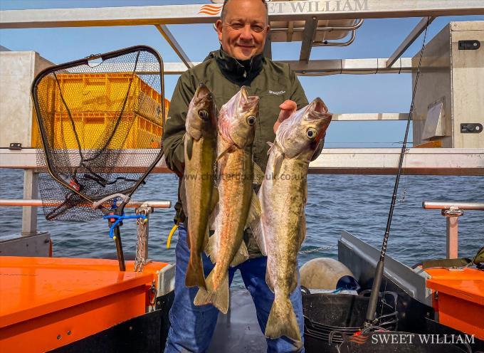 5 lb 12 oz Pollock by Ash