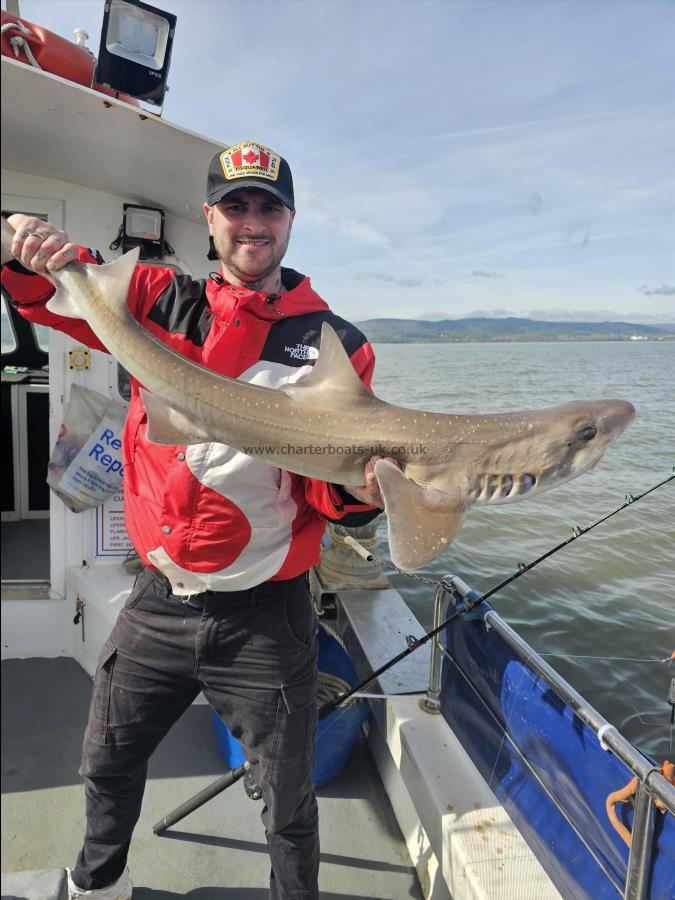 10 lb 5 oz Smooth-hound by Unknown