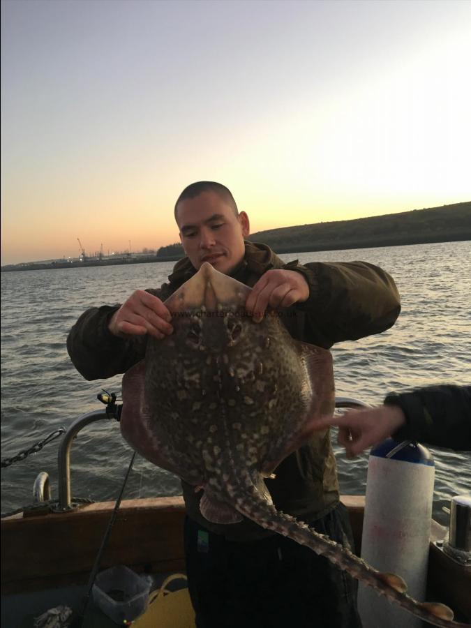 9 lb Thornback Ray by Unknown