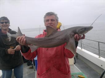 14 lb 2 oz Smooth-hound (Common) by Peter Lewis M.I.B.SAC