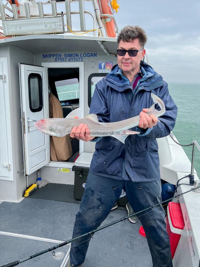 5 lb Smooth-hound (Common) by Paul Mcsparron