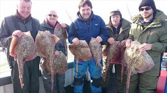 9 lb Thornback Ray by John's party