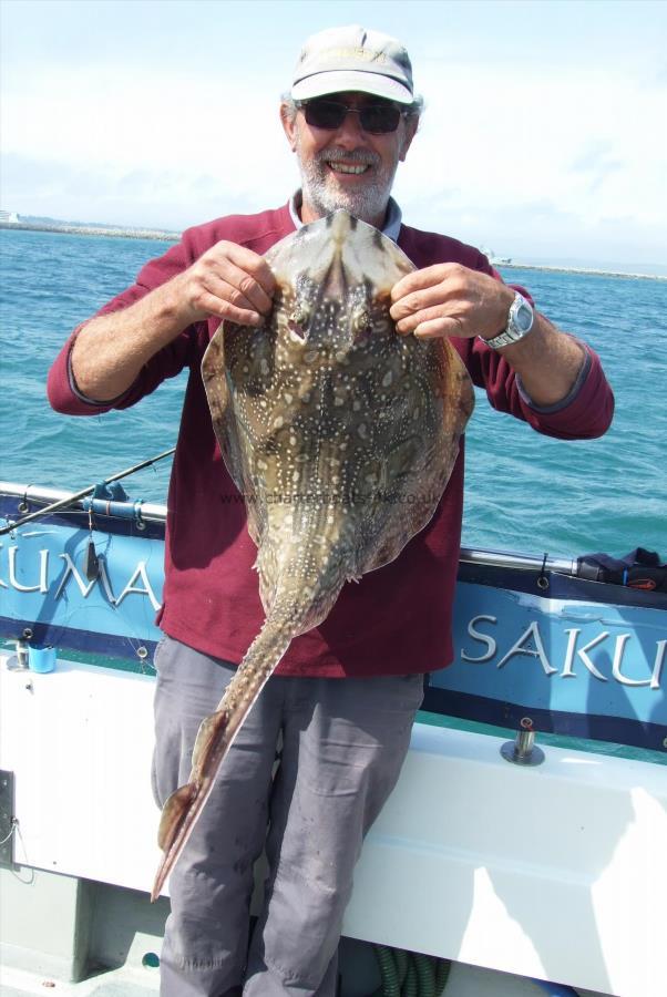 10 lb Undulate Ray by Kevin Clark