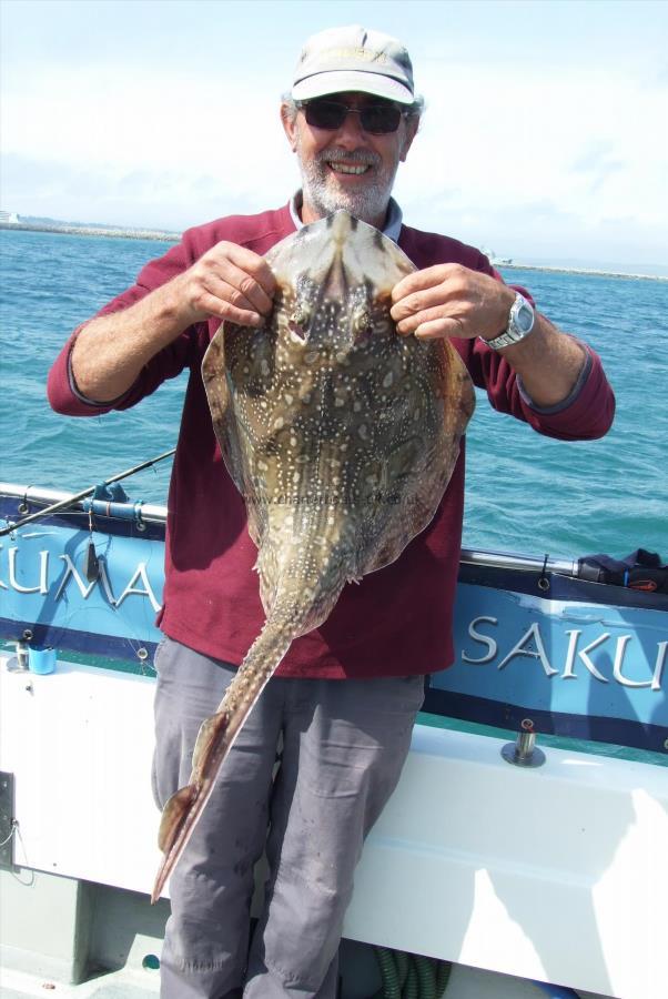 10 lb Undulate Ray by Kevin Clark