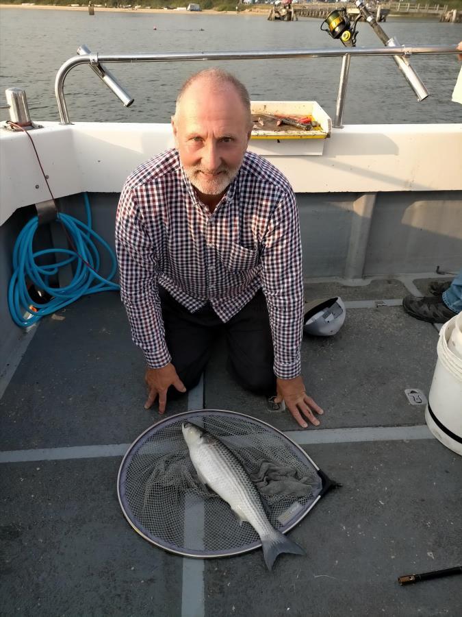 3 lb 14 oz Thin-Lipped Grey Mullet by Vernon Allan