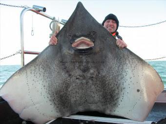 179 lb Common Skate by THOMAS WHITE