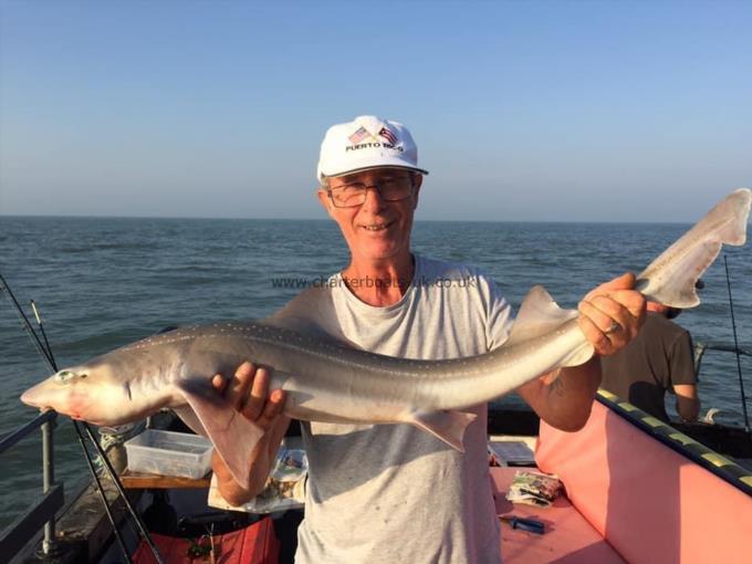 10 lb Smooth-hound by Unknown