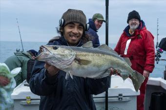 12 lb 4 oz Pollock by Jimmy Laban