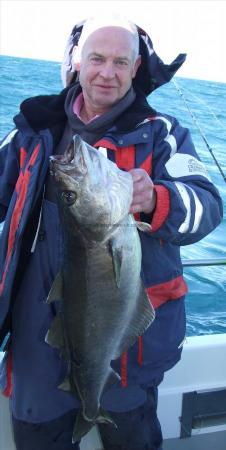 12 lb 12 oz Pollock by Robin Amor