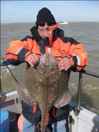 13 lb 3 oz Thornback Ray by Reg a regular with us and his first double