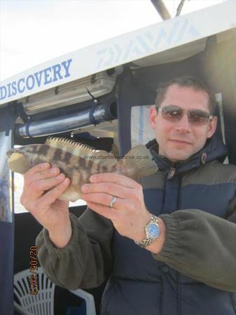 1 lb 6 oz Ballan Wrasse by mark